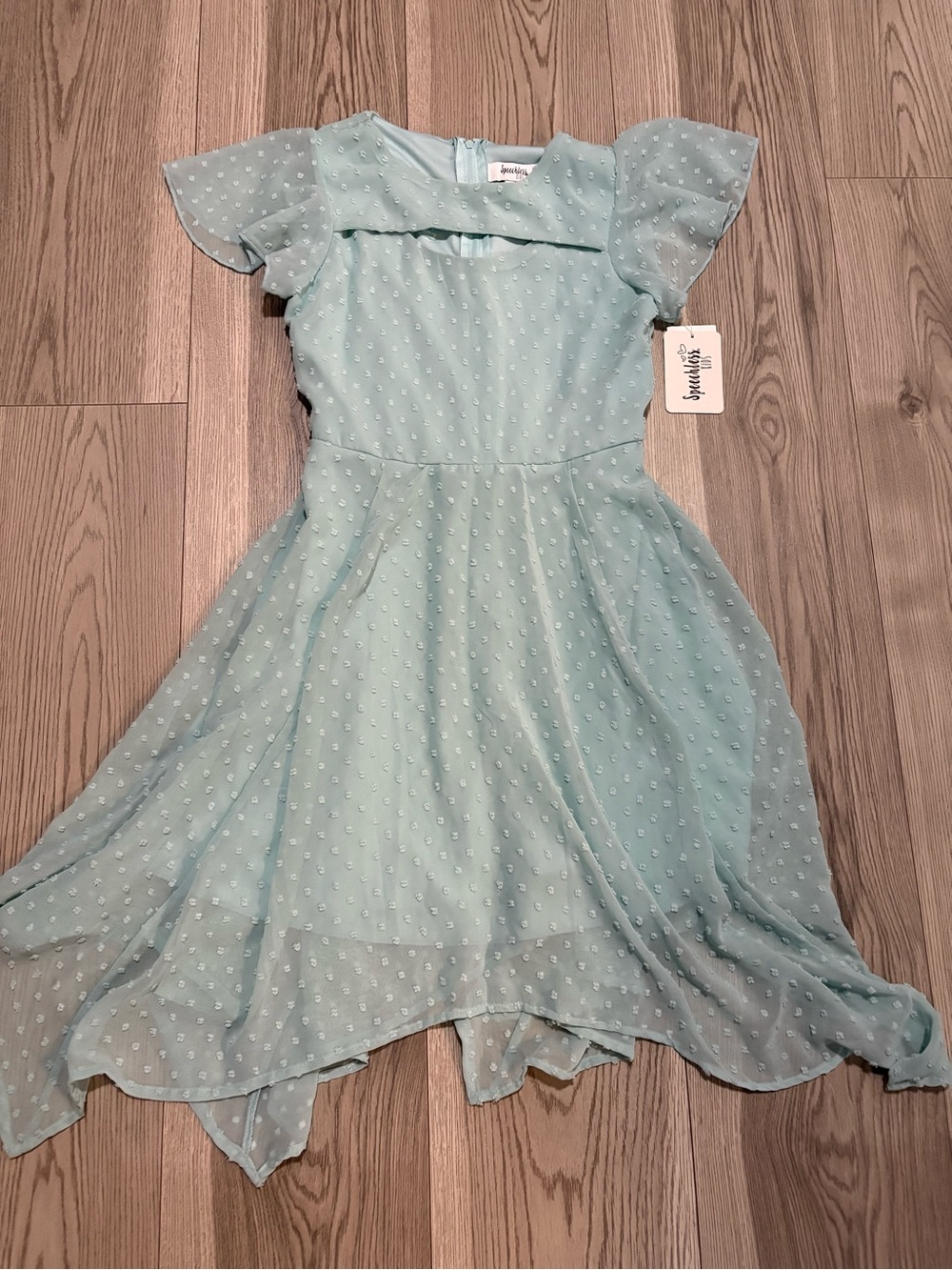 Speechless Kids Fit and Flair Dress Size 10 NWT